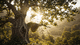 Sidr Honey: The Sacred Tree of Heaven and Its Liquid Gold
