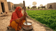 Desi Ghee: The Golden Tradition of the Subcontinent