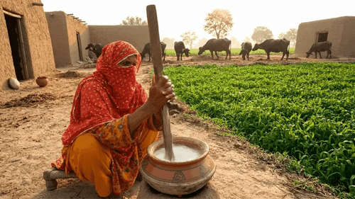 Desi Ghee: The Golden Tradition of the Subcontinent
