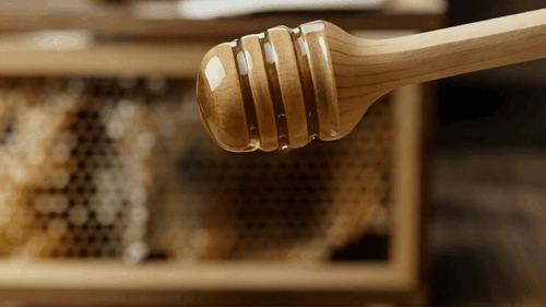Wild Forest Honey: Nature's Untouched Superfood